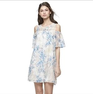 Lily Rose  Blue Floral Lace Cold Shoulder Dress